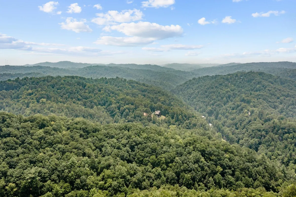 This image captures expansive rolling hills, a dense forest, and distant mountains under a serene sky. The untouched landscape immerses viewers in the raw beauty of the Smoky Mountains, evoking a sense of tranquility and natural wonder.